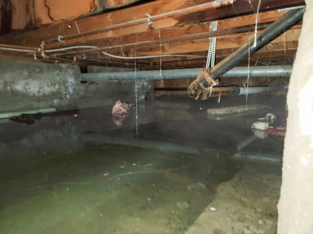 Best 24/7 water damage repair  in Church Hill, PA